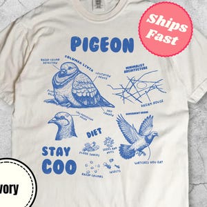 Vintage Pigeon Anatomy Diagram T-Shirt, Funny Stay Coo Pigeon Tee, Retro Bird Meme Shirt, Y2K Science Infographic Tee, Bird Lover Gift