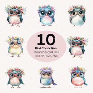 10 imágenes prediseñadas de pájaros con flores de acuarela, pájaros divertidos, pájaros de dibujos animados, pájaros PNG, imágenes prediseñadas de acuarela, diario imprimible, 10 PNG