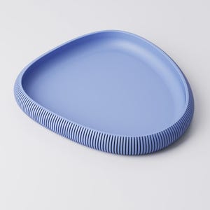 Puede incluir: Una bandeja azul claro de forma org&aacute;nica con borde acanalado. La bandeja tiene un interior liso y un borde texturizado con l&iacute;neas verticales. El dise&ntilde;o es minimalista y moderno, adecuado para servir o exhibir.
