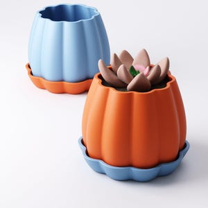 May include: Two decorative, pumpkin-shaped planters. One is light blue with an orange base, the other is orange with a light blue base. The orange planter contains a succulent plant with brown and pink petals. These planters are ideal for adding a touch of color to any space.
