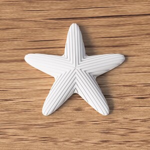 May include: A white starfish with a textured surface and a striped pattern, resting on a wooden surface. The starfish has five points and a detailed design. The wooden surface has a natural wood grain.