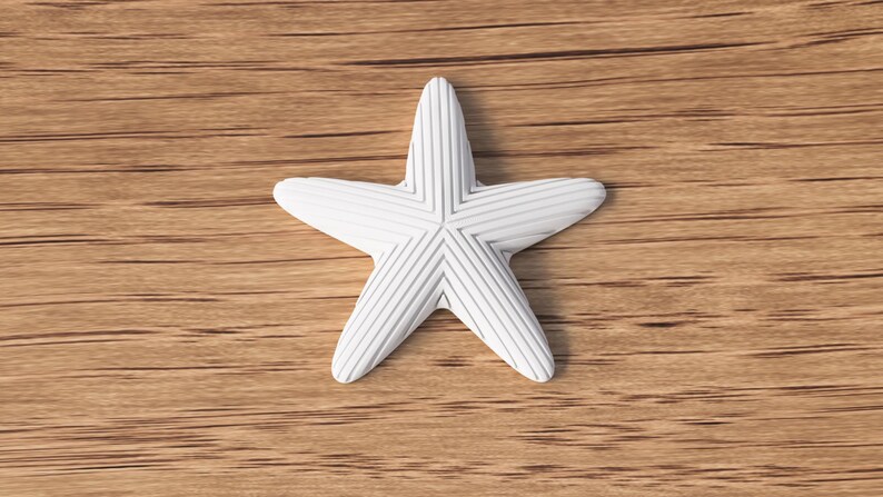 May include: A white starfish with a textured surface and a striped pattern, resting on a wooden surface. The starfish has five points and a detailed design. The wooden surface has a natural wood grain.