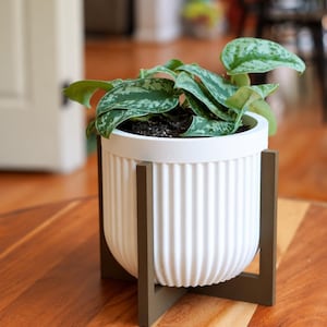 May include: A white cylindrical planter with a vertical ribbed texture held by a dark brown cross-shaped wooden stand. The planter contains a green plant with variegated silver and green heart-shaped leaves growing from dark potting soil.
