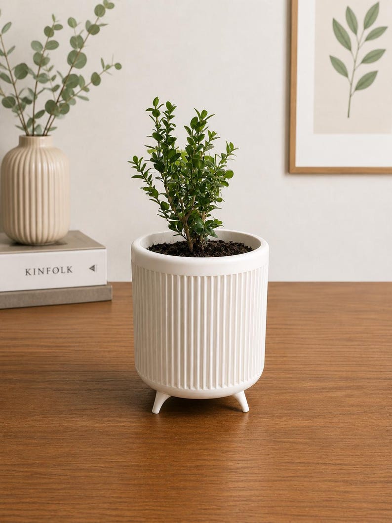 Puede incluir: Una maceta de cer&aacute;mica blanca con dise&ntilde;o acanalado y tres patas peque&ntilde;as, que contiene una planta verde. Un jarr&oacute;n beige con ramas de eucalipto y una impresi&oacute;n bot&aacute;nica enmarcada est&aacute;n en el fondo. La maceta est&aacute; sobre una superficie de madera.