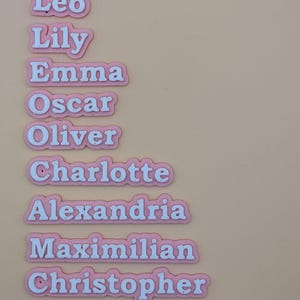 Może przedstawiać: R&oacute;żowe i białe wycięcia z imionami, w tym "Leo", "Lily", "Emma", "Oscar", "Oliver", "Charlotte", "Alexandria", "Maximilian", "Christopher" i "TheodoreJames". Nazwy są w białej czcionce z r&oacute;żową obw&oacute;dką.