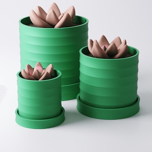 May include: Three green, cylindrical planters with a ribbed design, each holding a succulent. The succulents have pinkish-brown petals and are set in dark soil. The planters are of varying sizes and sit on matching green saucers.