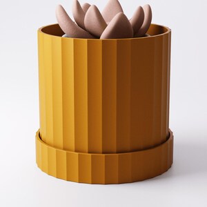 Puede incluir: Una maceta cil&iacute;ndrica de color amarillo mostaza con estr&iacute;as verticales y una base circular a juego. Dentro de la maceta hay una planta suculenta con hojas gruesas, redondeadas y de color rosa p&aacute;lido con un acabado mate texturizado.