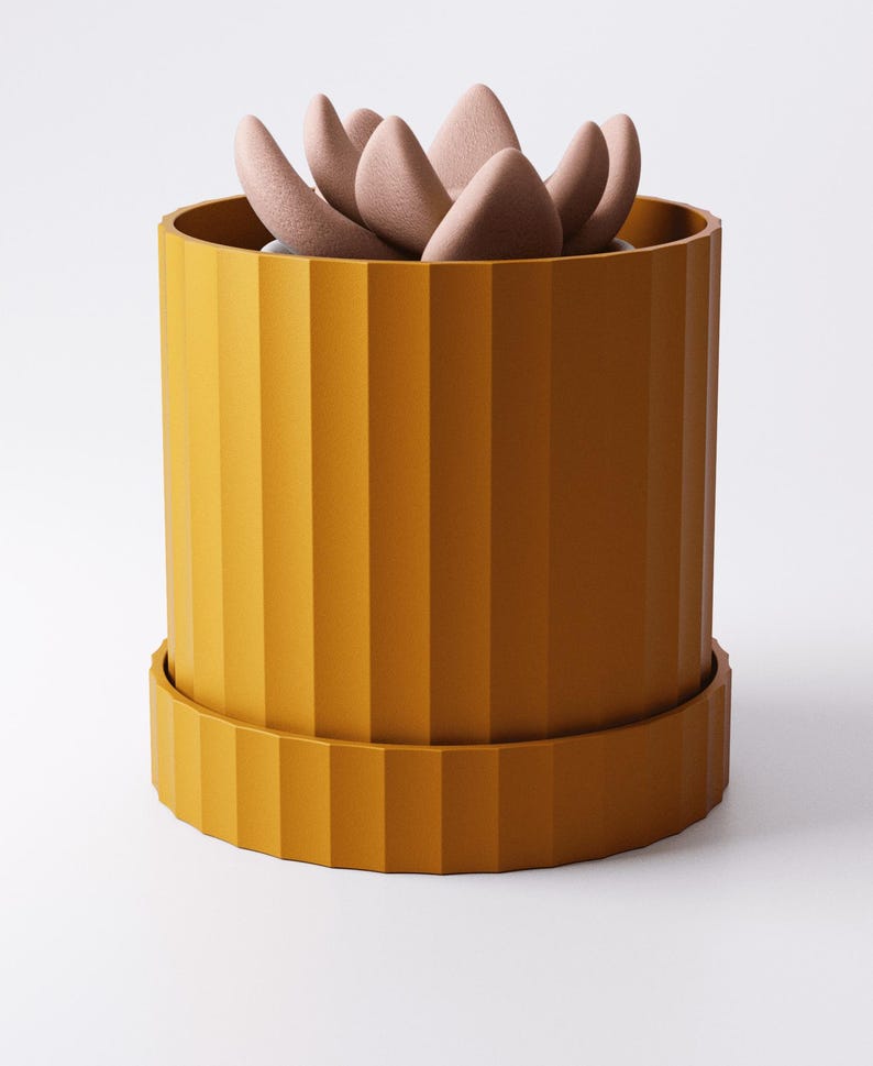 Puede incluir: Una maceta cil&iacute;ndrica de color amarillo mostaza con estr&iacute;as verticales y una base circular a juego. Dentro de la maceta hay una planta suculenta con hojas gruesas, redondeadas y de color rosa p&aacute;lido con un acabado mate texturizado.