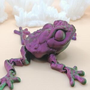 May include: A 3D-printed articulated frog toy in shades of purple and green. The frog has a textured surface and detailed features, including large eyes and jointed limbs. The background features white, crystalline formations.