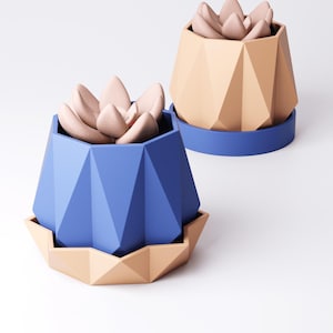 May include: Two geometric succulent planters. One is blue with a tan base, the other is tan with a blue base. Both have a light pink succulent inside. The planters have a modern, minimalist design.