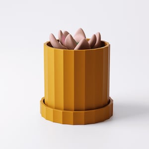 Puede incluir: Una maceta cil&iacute;ndrica de color amarillo mostaza con estr&iacute;as verticales y una base de plato circular a juego. Dentro del recipiente hay una peque&ntilde;a planta suculenta estilizada con hojas gruesas, redondeadas y de color rosa p&aacute;lido.