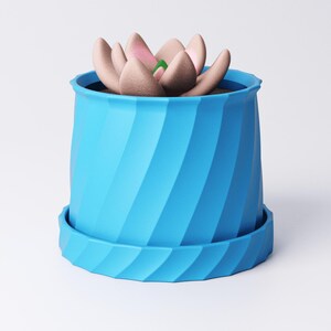 May include: A blue, spiral-patterned planter with a matching saucer holds a succulent. The succulent has light brown petals with pink tips and a green center. The planter is a vibrant blue color.