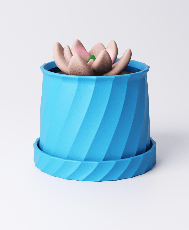 May include: A blue, spiral-patterned planter with a matching saucer holds a succulent. The succulent has light brown petals with pink tips and a green center. The planter is a vibrant blue color.