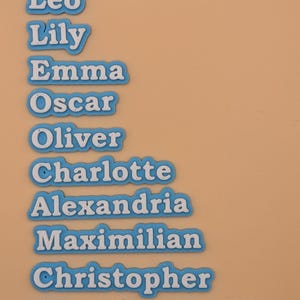 Może przedstawiać: Zbi&oacute;r niebiesko-białych wycięć z imionami, w tym "Leo", "Lily", "Emma", "Oscar", "Oliver", "Charlotte", "Alexandria", "Maximilian", "Christopher" i "TheodoreJames". Nazwy są w kroju bezszeryfowym.