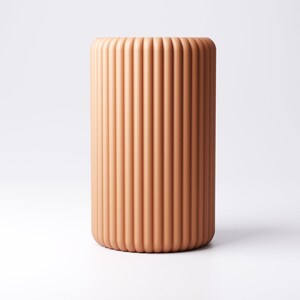 May include: A cylindrical, terracotta-colored vase with vertical, ridged detailing. The vase has a rounded top and base, and stands on a white background. The design is minimalist and modern.