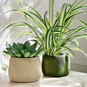 May include: Two cylindrical plant pots with a vertical wavy texture. One pot is a light beige colour containing a green succulent, and the other is a deep forest green colour containing a spider plant with long, thin, variegated green and white leaves.