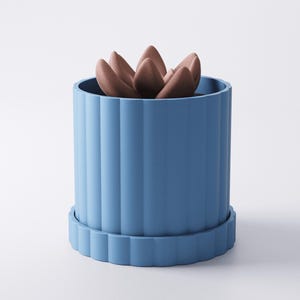 May include: A blue ceramic planter with a ribbed design, holding a brown succulent. The planter includes a matching saucer. The plant pot is a light blue color, and the succulent has a brown, textured appearance.