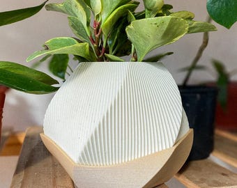 Modern Sofia Planter Pot Geometric Indoor Plant Pot Decorative 3D Printed Planter Minimalist Home Decor