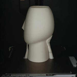 May include: A cream-colored, abstract sculpture of a head with a prominent nose and a hollow top, possibly a vase or planter. The sculpture has a smooth surface and is set against a dark background.