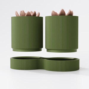 May include: Two olive green cylindrical planters with vertical ribbed texture, each containing a light brown succulent. A matching, elongated, ribbed tray sits below. The planters and tray are designed for indoor use.