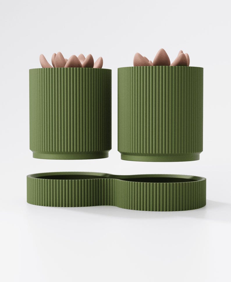 May include: Two olive green cylindrical planters with vertical ribbed texture, each containing a light brown succulent. A matching, elongated, ribbed tray sits below. The planters and tray are designed for indoor use.
