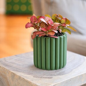 May include: A cylindrical plant pot with a matte dark green finish and a vertical ribbed texture. The pot contains a small plant with vibrant pink and green veined leaves. The design features a consistent repeating pattern of rounded vertical grooves.