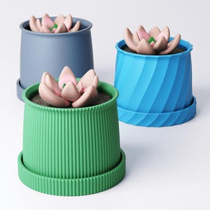 May include: Three colorful ceramic planters, each with a succulent plant. The planters are in shades of blue and green, with a ribbed or spiral design. The succulents have pink and green petals, and are set on a white background.