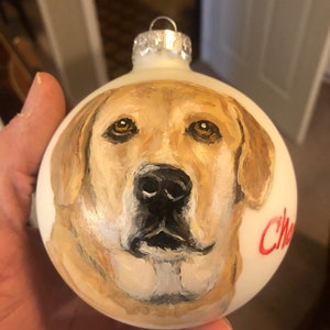 Hand-painted Pet Ornaments