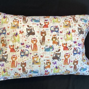 D-Catsville Rainbow Pillowcase Queen
