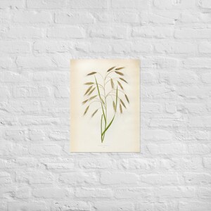 Grass LIII Poster