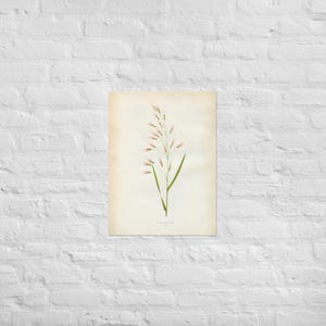 Grass LXI Poster