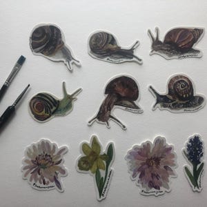 Stickers escargots et fleurs réalisés à partir d'aquarelles