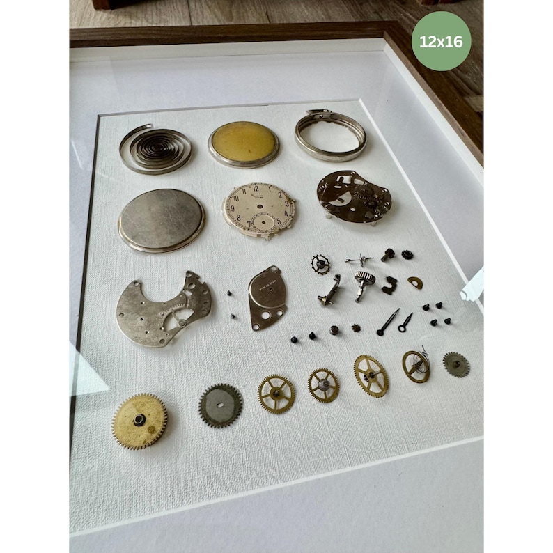 Puede incluir: Una exhibici&oacute;n enmarcada de piezas de relojes antiguos, incluyendo engranajes, muelles y esferas. La disposici&oacute;n presenta una variedad de componentes met&aacute;licos, con un fondo blanco y un marco de madera. El texto "12x16" es visible.