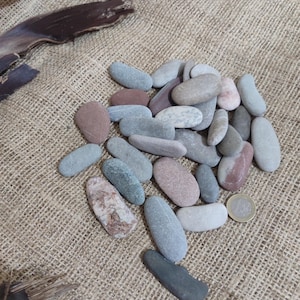 May include: A collection of smooth, oval-shaped stones in various colors, including gray, pink, and white, are scattered on a textured, tan surface. A few pieces of dark brown wood and a ruler are also visible.