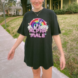May include: Black t-shirt featuring a rainbow and a purple unicorn with a pink mane and tail. The text "ALPHA MALE" is printed in pink letters below the unicorn.