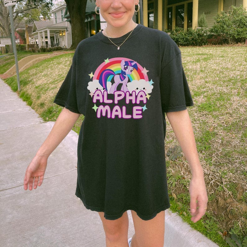 May include: Black t-shirt featuring a rainbow and a purple unicorn with a pink mane and tail. The text "ALPHA MALE" is printed in pink letters below the unicorn.