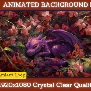 May include: A digital illustration of a purple dragon with green eyes resting among red and pink flowers. The image is labeled "Animated Background HD" and "Seamless Loop" with a resolution of 1920x1080.