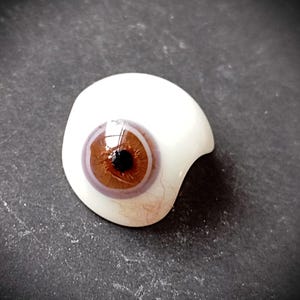Puede incluir: Un ojo protésico detallado con un iris marrón, una pupila negra y una esclerótica blanca. El ojo tiene un diseño realista con detalles finos y un acabado brillante. El ojo está diseñado para reemplazar un ojo natural.
