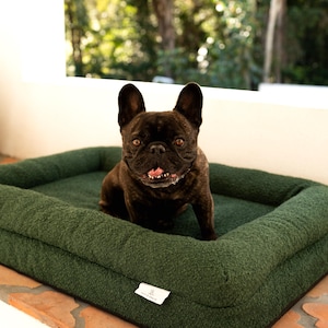 May include: A French Bulldog sits on a dark green dog bed with a black border. The bed has a white label with the text "Paw & Order" on it.