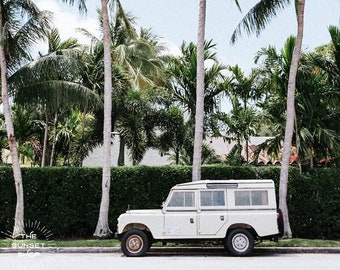 Palm Tree Nomad (color) - Land Rover Defender print, boy room art, vintage Land Rover print, Palm Beach Florida print, Land Rover photo