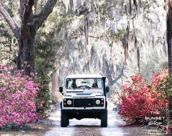 Venture Rover - Savannah Georgia art, azalea photo, lowcountry print, Land Rover Defender photo, Live Oak wall art, Savannah GA