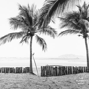 Magic Sticks - surfing art, black and white surf photo, beach print costa rica, surf shack wall art, black and white costa rica print, surf
