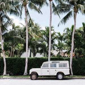 Palm Tree Nomad (color) - Land Rover Defender Print, Boy Room Art ...