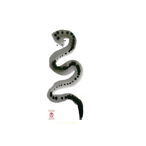 Schlangen Karte für das Jahr der Schlange, chinesisches Sternzeichen - Geburtstagskarte, japanische Illustration, Zen Print, alter Postkartenstil, kostenloser Versand!