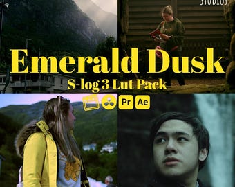 May include: Emerald Dusk S-log 3 Lut Pack for Premiere Pro and After Effects.  The image shows a collage of three images. The top image shows a mountain range with a cloudy sky. The middle image shows a woman wearing a yellow jacket. The bottom image shows a man with dark hair and a serious expression.