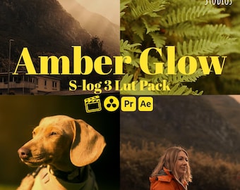 Amber Glow LUT Pack - 11 Cinematic S-Log 3 LUTs for Premiere Pro, Final Cut, DaVinci Resolve, & After Effects