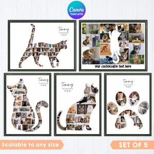 Puede incluir: Un conjunto de cinco plantillas de collage de fotos personalizables con diseños en forma de gato y huella. Cada plantilla incluye marcadores de posición para varias fotos de gatos, el nombre Tommy y el texto Purr-fectly loved.
