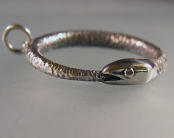 Colgante de Ouroboros, collar de Ouroboros, colgante de serpiente, collar de serpiente, plata de ley