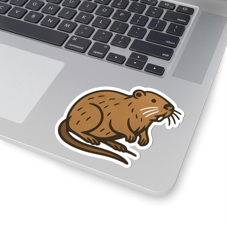 Beaver Illustration Sticker | Glossy Rodent Laptop Decal - Etsy