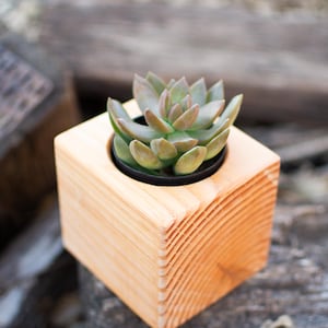 Sukkulenten Pflanzer | Stilvoller rustikaler Holzbehälter für Pflanzen | Handgefertigter moderner Holztopf für kleinen Kaktus | Perfektes Einweihungsgeschenk